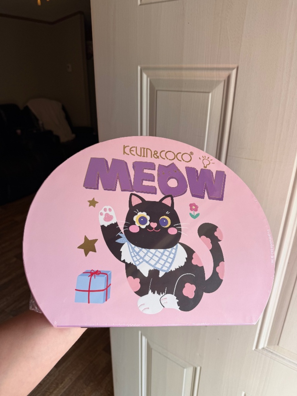 Kevin & Coco PR box! ✨